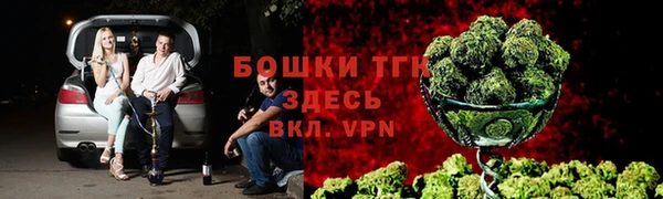 индика Пестово