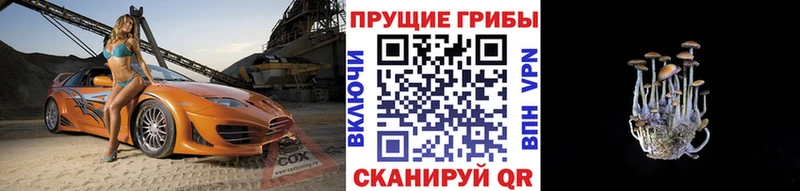 Галлюциногенные грибы ЛСД  Таштагол 